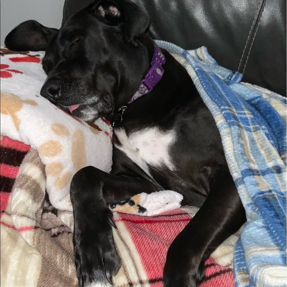 Meet your Posher, Erin & Hecate - Picture 15 of 16